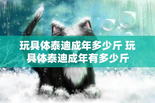 玩具體泰迪成年多少斤 玩具體泰迪成年有多少斤
