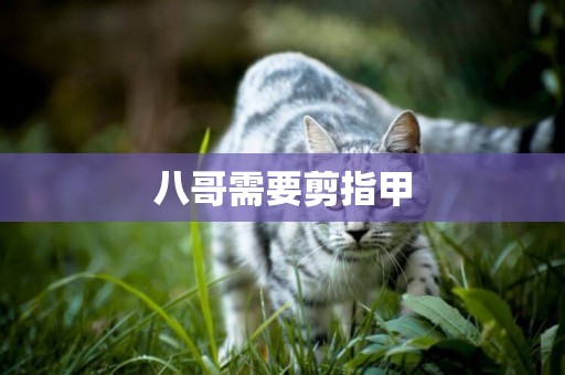 八哥需要剪指甲