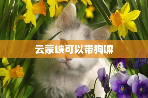 云蒙峽可以帶狗嘛
