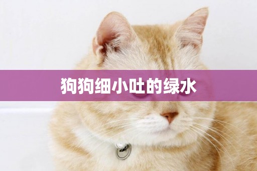 狗狗細小吐的綠水