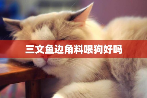 三文魚邊角料喂狗好嗎