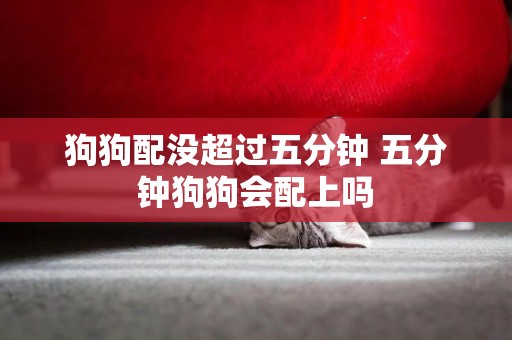 狗狗配沒超過五分鐘 五分鐘狗狗會配上嗎