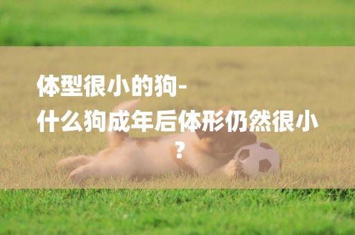體型很小的狗-
什么狗成年后體形仍然很小？