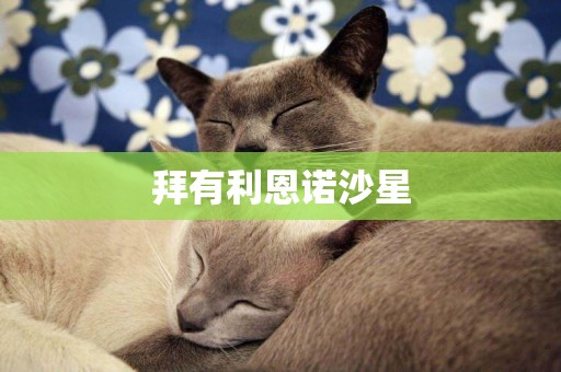 拜有利恩諾沙星