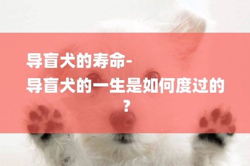 導盲犬的壽命-
導盲犬的一生是如何度過的？