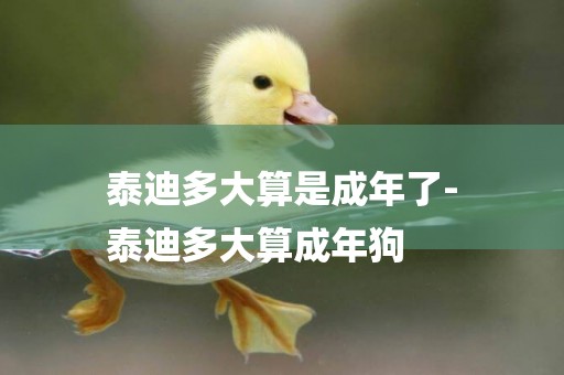 泰迪多大算是成年了-
泰迪多大算成年狗
