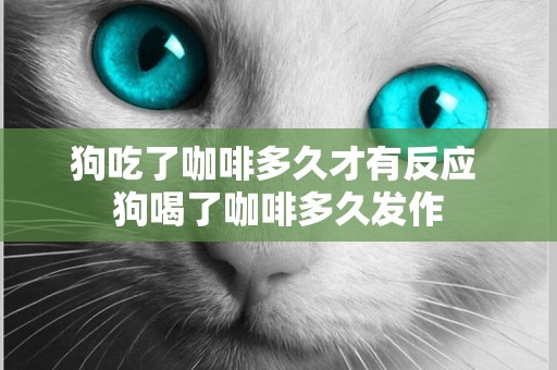 狗吃了咖啡多久才有反應 狗喝了咖啡多久發作
