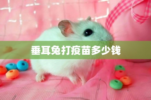 垂耳兔打疫苗多少錢
