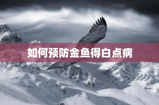 如何預防金魚得白點病