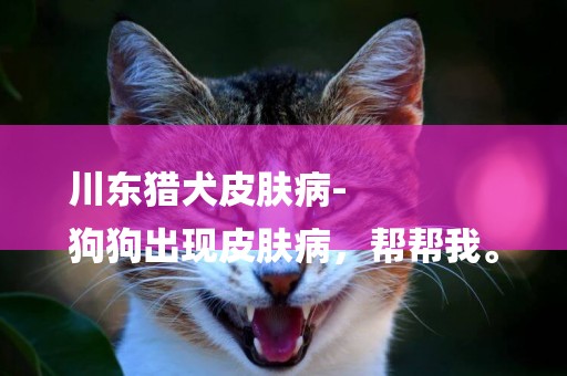 川東獵犬皮膚病-
狗狗出現皮膚病，幫幫我。