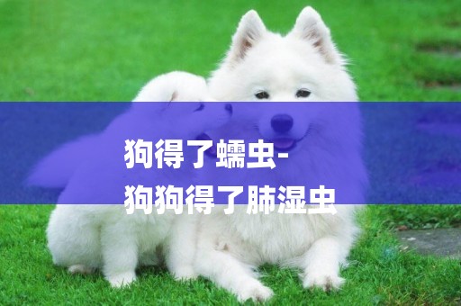 狗得了蠕蟲-
狗狗得了肺濕蟲