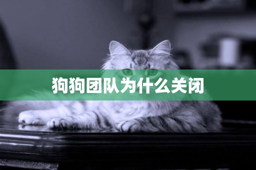 狗狗團隊為什么關閉