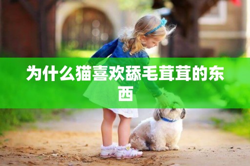 為什么貓喜歡舔毛茸茸的東西