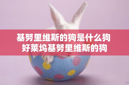 基努里維斯的狗是什么狗 好萊塢基努里維斯的狗