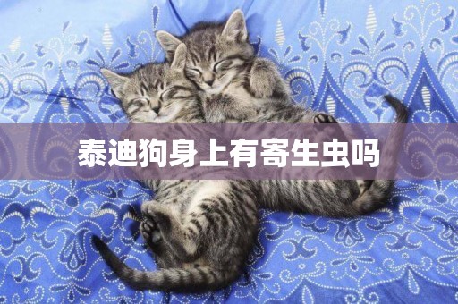 泰迪狗身上有寄生蟲嗎