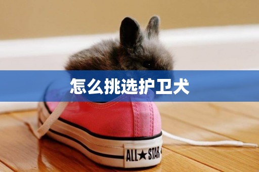 怎么挑選護衛犬