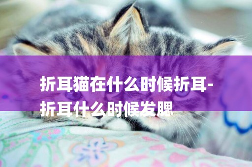 折耳貓在什么時候折耳-
折耳什么時候發腮
