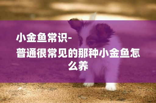 小金魚常識-
普通很常見的那種小金魚怎么養
