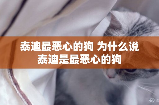泰迪最惡心的狗 為什么說泰迪是最惡心的狗