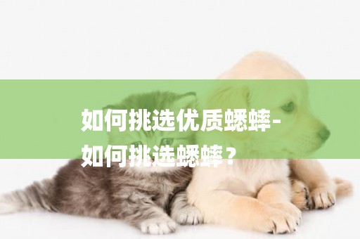 如何挑選優質蟋蟀-
如何挑選蟋蟀？