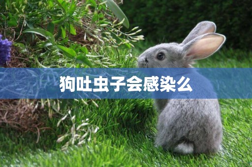 狗吐蟲子會感染么