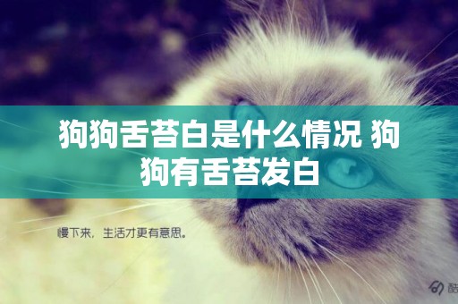 狗狗舌苔白是什么情況 狗狗有舌苔發白