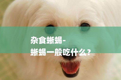 雜食蜥蜴-
蜥蜴一般吃什么？