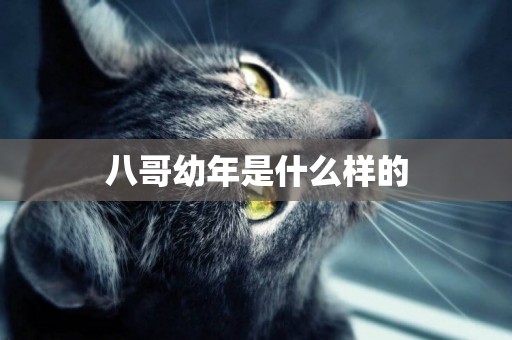 八哥幼年是什么樣的