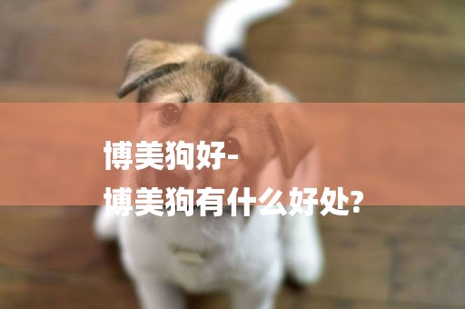 博美狗好-
博美狗有什么好處?