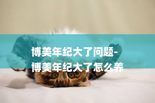 博美年紀大了問題-
博美年紀大了怎么養