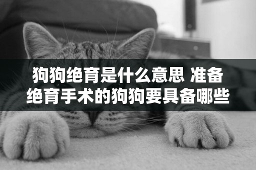 狗狗絕育是什么意思 準備絕育手術的狗狗要具備哪些條件