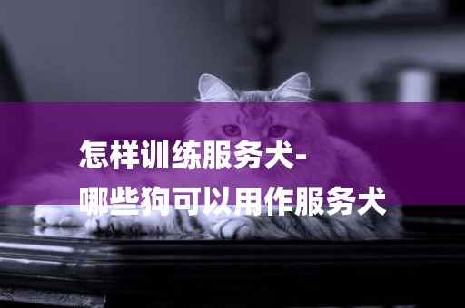 怎樣訓練服務犬-
哪些狗可以用作服務犬