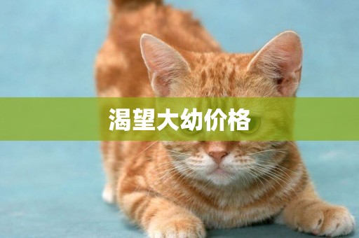 渴望大幼價格
