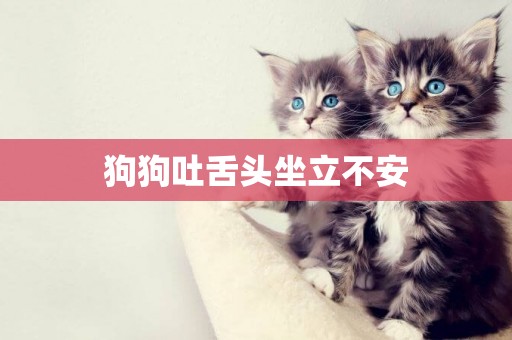 狗狗吐舌頭坐立不安