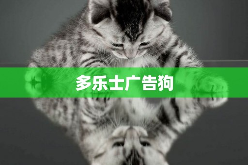多樂士廣告狗