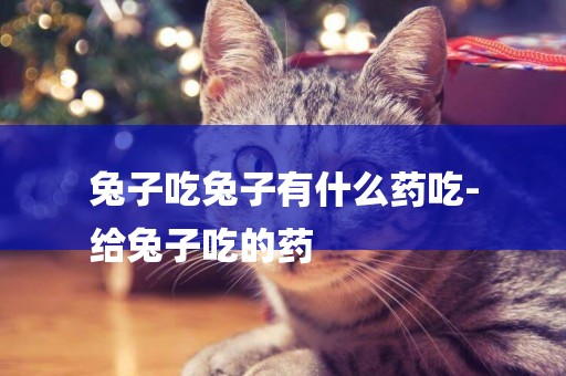 兔子吃兔子有什么藥吃-
給兔子吃的藥