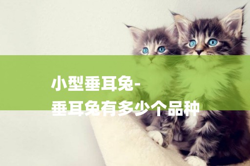 小型垂耳兔-
垂耳兔有多少個品種