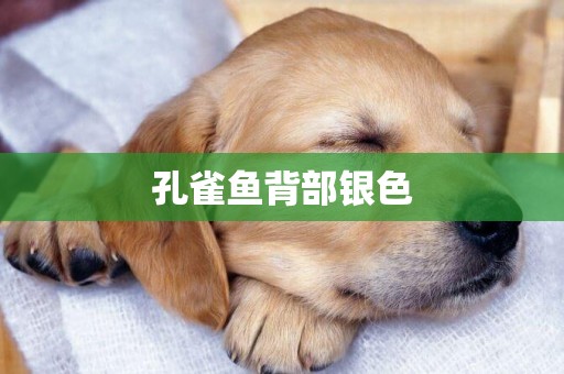 孔雀魚背部銀色