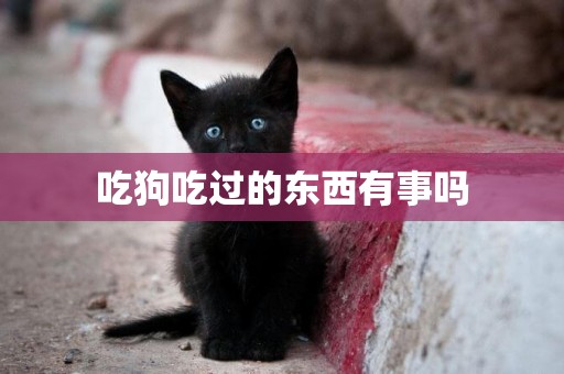 吃狗吃過的東西有事嗎