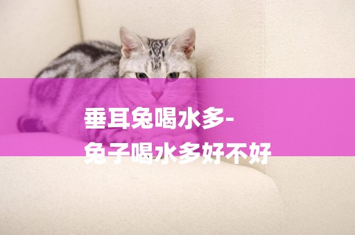 垂耳兔喝水多-
兔子喝水多好不好