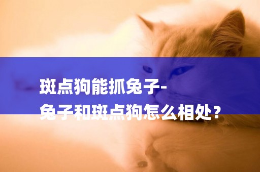斑點狗能抓兔子-
兔子和斑點狗怎么相處？