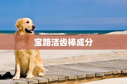 寶路潔齒棒成分