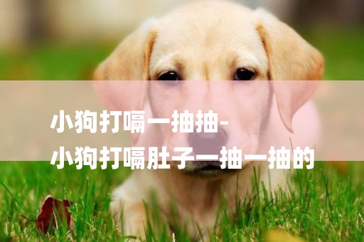 小狗打嗝一抽抽-
小狗打嗝肚子一抽一抽的