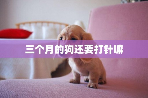 三個月的狗還要打針嘛