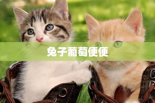 兔子葡萄便便