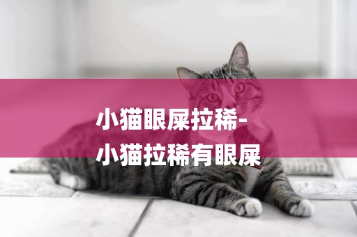 小貓眼屎拉稀-
小貓拉稀有眼屎