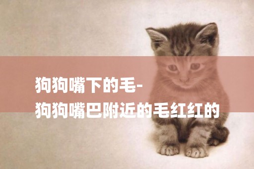 狗狗嘴下的毛-
狗狗嘴巴附近的毛紅紅的