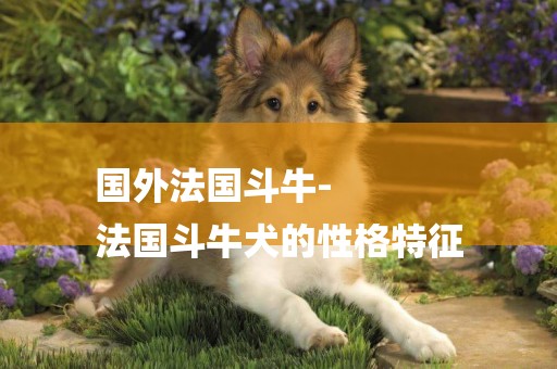 國外法國斗牛-
法國斗牛犬的性格特征
