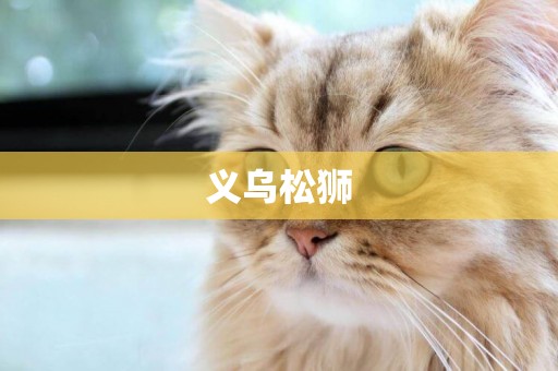 義烏松獅