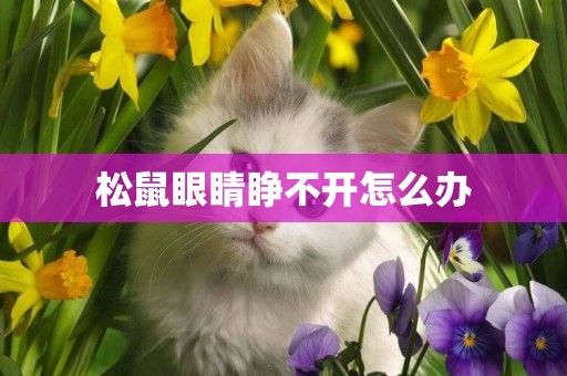 松鼠眼睛睜不開怎么辦